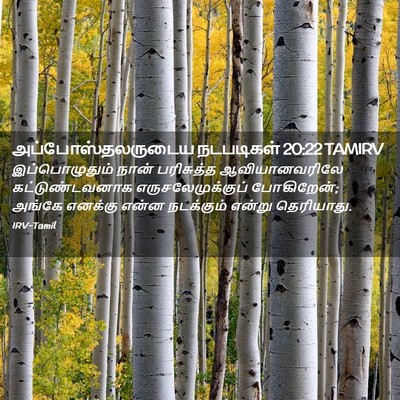 Picture 02 - அப்போஸ்தலருடைய நடபடிகள் 20:22 TAMIRV - இப்பொழுதும் நான் - Bible Verse Picture