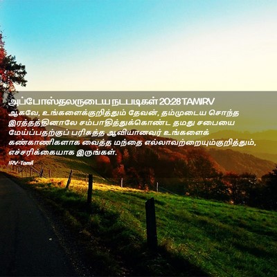 Picture 02 - அப்போஸ்தலருடைய நடபடிகள் 20:28 TAMIRV - ஆகவே, - Bible Verse Picture