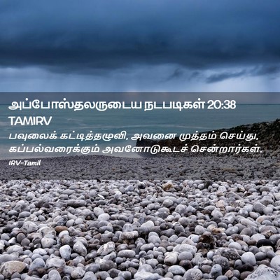Picture 02 - அப்போஸ்தலருடைய நடபடிகள் 20:38 TAMIRV - பவுலைக் - Bible Verse Picture