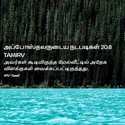 Picture 02 - அப்போஸ்தலருடைய நடபடிகள் 20:8 TAMIRV - அவர்கள் - Bible Verse Picture