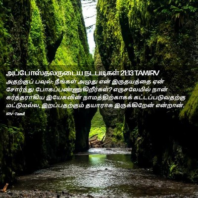 Picture 02 - அப்போஸ்தலருடைய நடபடிகள் 21:13 TAMIRV - அதற்குப் பவுல்: - Bible Verse Picture