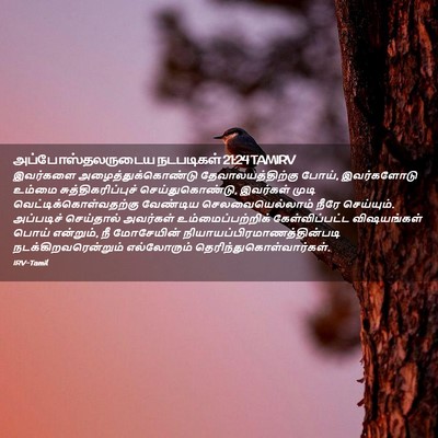 Picture 02 - அப்போஸ்தலருடைய நடபடிகள் 21:24 TAMIRV - இவர்களை - Bible Verse Picture