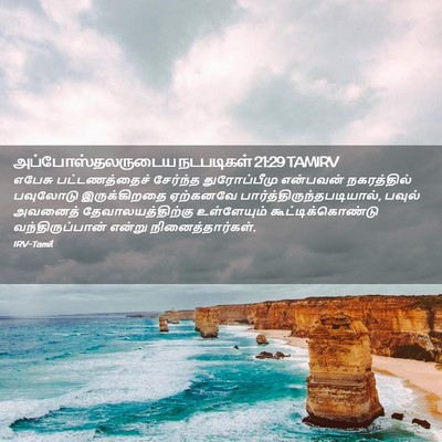 Picture 02 - அப்போஸ்தலருடைய நடபடிகள் 21:29 TAMIRV - எபேசு பட்டணத்தைச் - Bible Verse Picture
