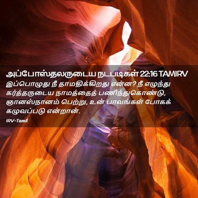 Picture 02 - அப்போஸ்தலருடைய நடபடிகள் 22:16 TAMIRV - இப்பொழுது நீ - Bible Verse Picture