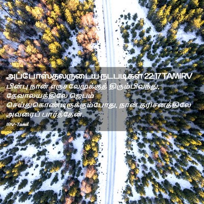 Picture 02 - அப்போஸ்தலருடைய நடபடிகள் 22:17 TAMIRV - பின்பு நான் - Bible Verse Picture