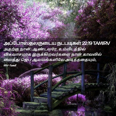 Picture 02 - அப்போஸ்தலருடைய நடபடிகள் 22:19 TAMIRV - அதற்கு நான்: - Bible Verse Picture