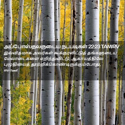 Picture 02 - அப்போஸ்தலருடைய நடபடிகள் 22:23 TAMIRV - இவ்விதமாக அவர்கள் - Bible Verse Picture