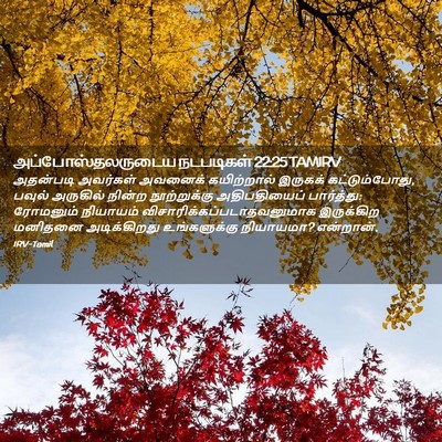 Picture 02 - அப்போஸ்தலருடைய நடபடிகள் 22:25 TAMIRV - அதன்படி அவர்கள் - Bible Verse Picture