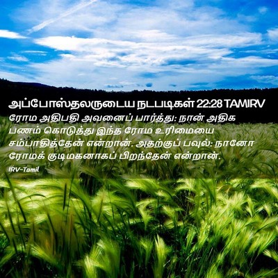 Picture 02 - அப்போஸ்தலருடைய நடபடிகள் 22:28 TAMIRV - ரோம அதிபதி அவனைப் - Bible Verse Picture