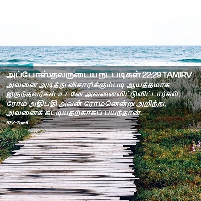Picture 02 - அப்போஸ்தலருடைய நடபடிகள் 22:29 TAMIRV - அவனை அடித்து - Bible Verse Picture