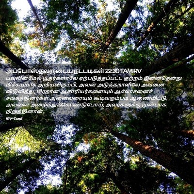 Picture 02 - அப்போஸ்தலருடைய நடபடிகள் 22:30 TAMIRV - பவுலின்மேல் - Bible Verse Picture