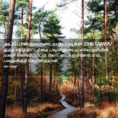 Picture 02 - அப்போஸ்தலருடைய நடபடிகள் 23:16 TAMIRV - இந்த - Bible Verse Picture