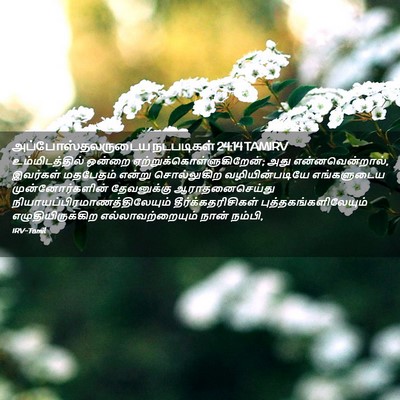 Picture 02 - அப்போஸ்தலருடைய நடபடிகள் 24:14 TAMIRV - உம்மிடத்தில் - Bible Verse Picture