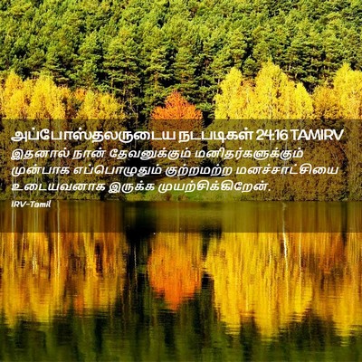 Picture 02 - அப்போஸ்தலருடைய நடபடிகள் 24:16 TAMIRV - இதனால் நான் - Bible Verse Picture