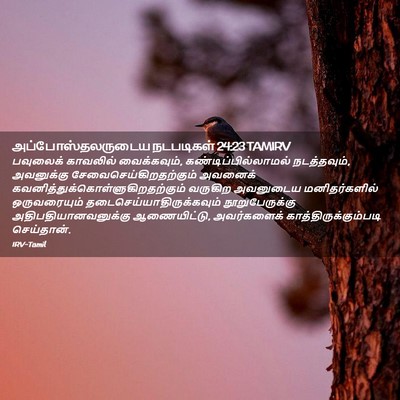 Picture 02 - அப்போஸ்தலருடைய நடபடிகள் 24:23 TAMIRV - பவுலைக் காவலில் - Bible Verse Picture