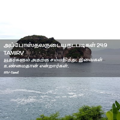 Picture 02 - அப்போஸ்தலருடைய நடபடிகள் 24:9 TAMIRV - யூதர்களும் அதற்கு - Bible Verse Picture