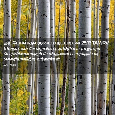 Picture 02 - அப்போஸ்தலருடைய நடபடிகள் 25:13 TAMIRV - சிலநாட்கள் - Bible Verse Picture