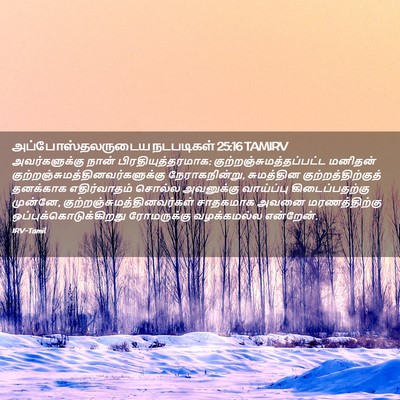 Picture 02 - அப்போஸ்தலருடைய நடபடிகள் 25:16 TAMIRV - அவர்களுக்கு நான் - Bible Verse Picture