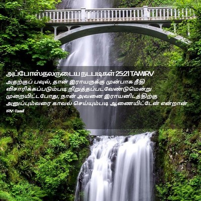Picture 02 - அப்போஸ்தலருடைய நடபடிகள் 25:21 TAMIRV - அதற்குப் பவுல், - Bible Verse Picture