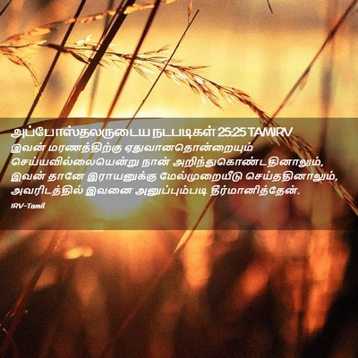 Picture 02 - அப்போஸ்தலருடைய நடபடிகள் 25:25 TAMIRV - இவன் மரணத்திற்கு - Bible Verse Picture