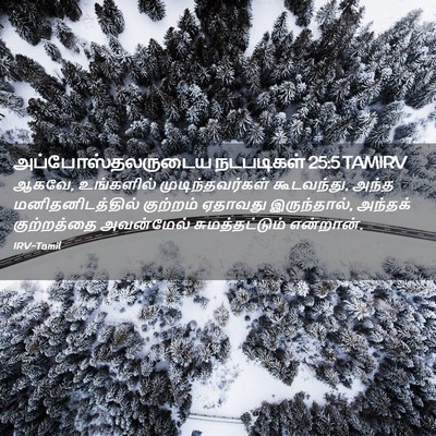 Picture 02 - அப்போஸ்தலருடைய நடபடிகள் 25:5 TAMIRV - ஆகவே, உங்களில் - Bible Verse Picture