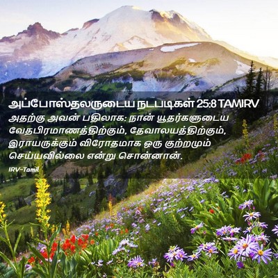 Picture 02 - அப்போஸ்தலருடைய நடபடிகள் 25:8 TAMIRV - அதற்கு அவன் - Bible Verse Picture