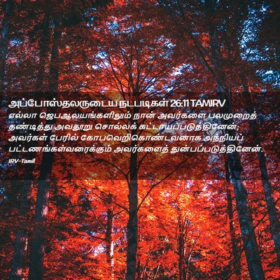 Picture 02 - அப்போஸ்தலருடைய நடபடிகள் 26:11 TAMIRV - எல்லா - Bible Verse Picture