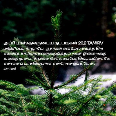 Picture 02 - அப்போஸ்தலருடைய நடபடிகள் 26:2 TAMIRV - அகிரிப்பா ராஜாவே, - Bible Verse Picture