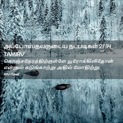 Picture 02 - அப்போஸ்தலருடைய நடபடிகள் 27:14 TAMIRV -  - Bible Verse Picture