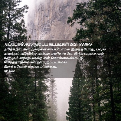Picture 02 - அப்போஸ்தலருடைய நடபடிகள் 27:21 TAMIRV - அநேகநாட்கள் - Bible Verse Picture