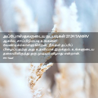Picture 02 - அப்போஸ்தலருடைய நடபடிகள் 27:34 TAMIRV - ஆகவே, - Bible Verse Picture