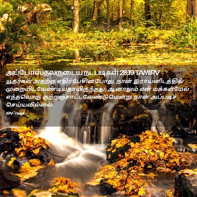 Picture 02 - அப்போஸ்தலருடைய நடபடிகள் 28:19 TAMIRV - யூதர்கள் அதற்கு - Bible Verse Picture