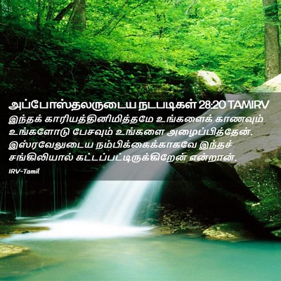 Picture 02 - அப்போஸ்தலருடைய நடபடிகள் 28:20 TAMIRV - இந்தக் - Bible Verse Picture