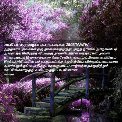 Picture 02 - அப்போஸ்தலருடைய நடபடிகள் 28:23 TAMIRV - அதற்காக அவர்கள் - Bible Verse Picture