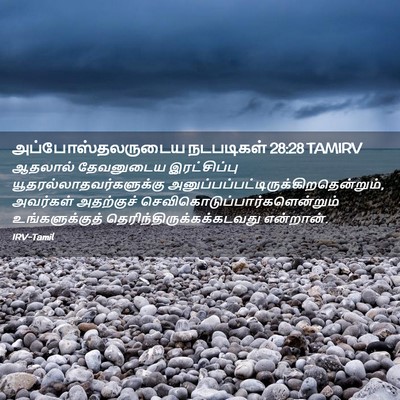 Picture 02 - அப்போஸ்தலருடைய நடபடிகள் 28:28 TAMIRV - ஆதலால் தேவனுடைய - Bible Verse Picture