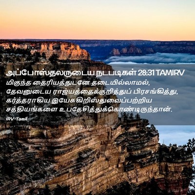 Picture 02 - அப்போஸ்தலருடைய நடபடிகள் 28:31 TAMIRV - மிகுந்த - Bible Verse Picture
