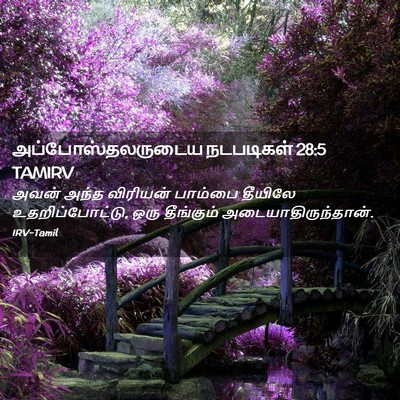 Picture 02 - அப்போஸ்தலருடைய நடபடிகள் 28:5 TAMIRV - அவன் அந்த விரியன் - Bible Verse Picture
