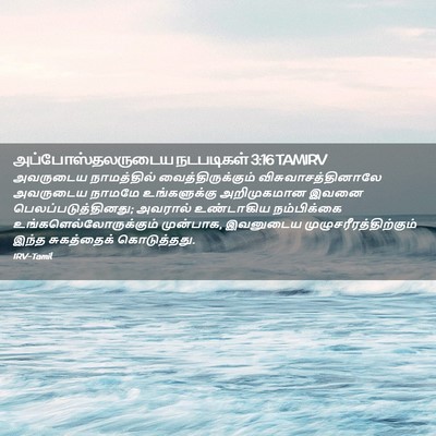 Picture 02 - அப்போஸ்தலருடைய நடபடிகள் 3:16 TAMIRV - அவருடைய நாமத்தில் - Bible Verse Picture