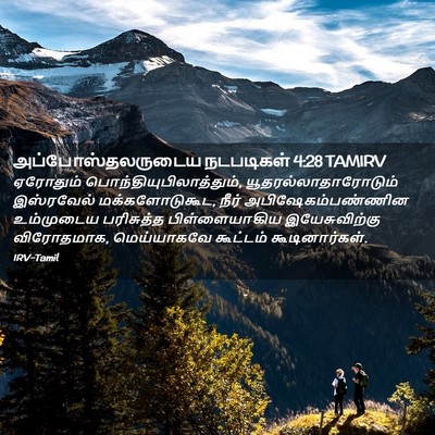 Picture 02 - அப்போஸ்தலருடைய நடபடிகள் 4:28 TAMIRV - ஏரோதும் - Bible Verse Picture