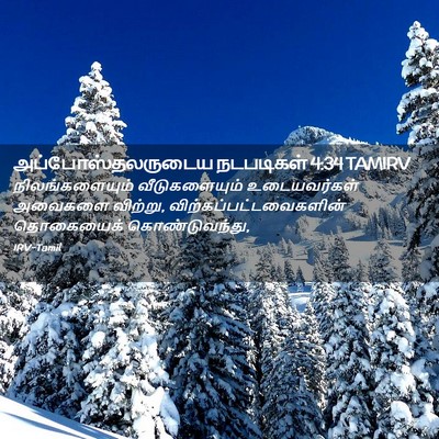 Picture 02 - அப்போஸ்தலருடைய நடபடிகள் 4:34 TAMIRV - நிலங்களையும் - Bible Verse Picture