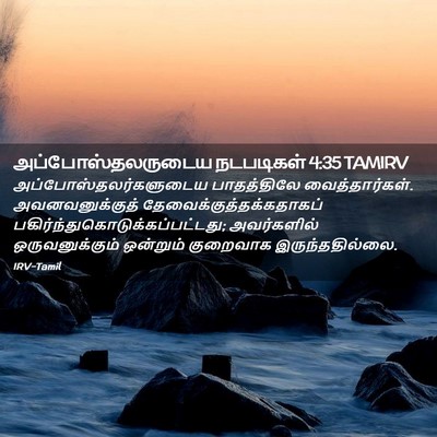 Picture 02 - அப்போஸ்தலருடைய நடபடிகள் 4:35 TAMIRV -  - Bible Verse Picture