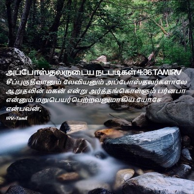 Picture 02 - அப்போஸ்தலருடைய நடபடிகள் 4:36 TAMIRV - சீப்புருதீவானும் - Bible Verse Picture