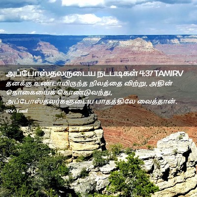 Picture 02 - அப்போஸ்தலருடைய நடபடிகள் 4:37 TAMIRV - தனக்கு - Bible Verse Picture