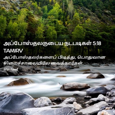 Picture 02 - அப்போஸ்தலருடைய நடபடிகள் 5:18 TAMIRV - அப்போஸ்தலர்களைப் - Bible Verse Picture