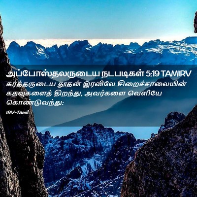 Picture 02 - அப்போஸ்தலருடைய நடபடிகள் 5:19 TAMIRV - கர்த்தருடைய தூதன் - Bible Verse Picture