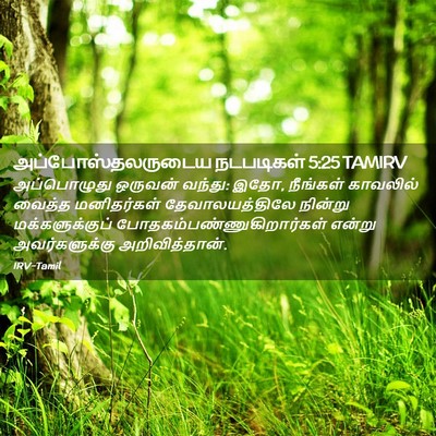 Picture 02 - அப்போஸ்தலருடைய நடபடிகள் 5:25 TAMIRV - அப்பொழுது ஒருவன் - Bible Verse Picture