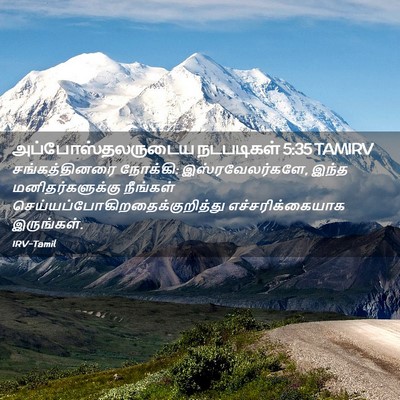 Picture 02 - அப்போஸ்தலருடைய நடபடிகள் 5:35 TAMIRV - சங்கத்தினரை - Bible Verse Picture