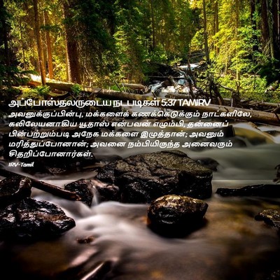 Picture 02 - அப்போஸ்தலருடைய நடபடிகள் 5:37 TAMIRV - அவனுக்குப்பின்பு, - Bible Verse Picture