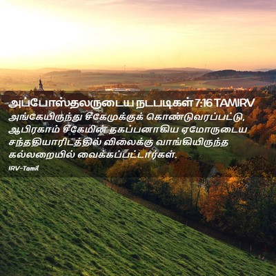 Picture 02 - அப்போஸ்தலருடைய நடபடிகள் 7:16 TAMIRV - அங்கேயிருந்து - Bible Verse Picture