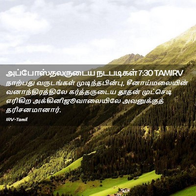 Picture 02 - அப்போஸ்தலருடைய நடபடிகள் 7:30 TAMIRV - நாற்பது வருடங்கள் - Bible Verse Picture